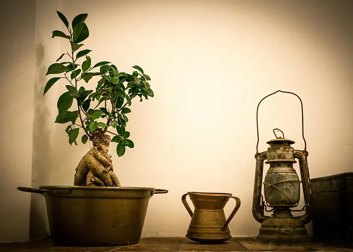 Dimora Amina فندق مبيت وإفطار 4*